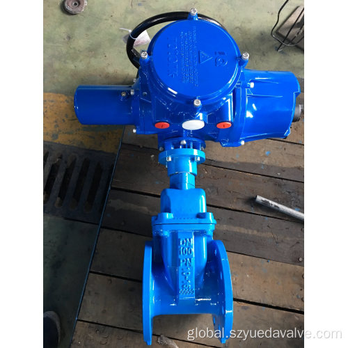 Resilient Seated Gate Valve Electric Gate Valve DIN/BS Double Flange Non-Rising Stem Factory